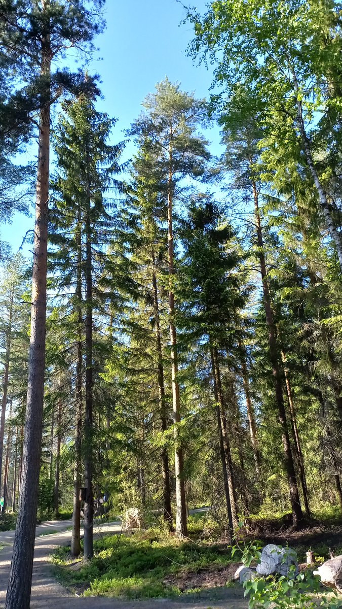 Interreg Erudite (@interregerudite) on Twitter photo |Day 1 in #Seinäjoki|
As a final program the ERUDITE team took part on a short hiking supported by the <a href="/Citynomadi/">Citynomadi</a> application at Lake #Kyrkösjärvi.
#digitalservices |Day 1 in #Seinäjoki|
As a final program the ERUDITE team took part on a short hiking supported by the <a href="/Citynomadi/">Citynomadi</a> application at Lake #Kyrkösjärvi.
#digitalservices