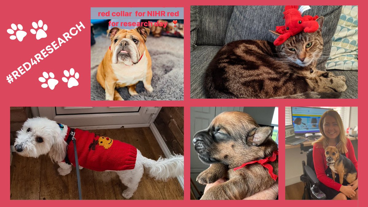 Who doesn’t love photos of cute pets?! #Red4Research