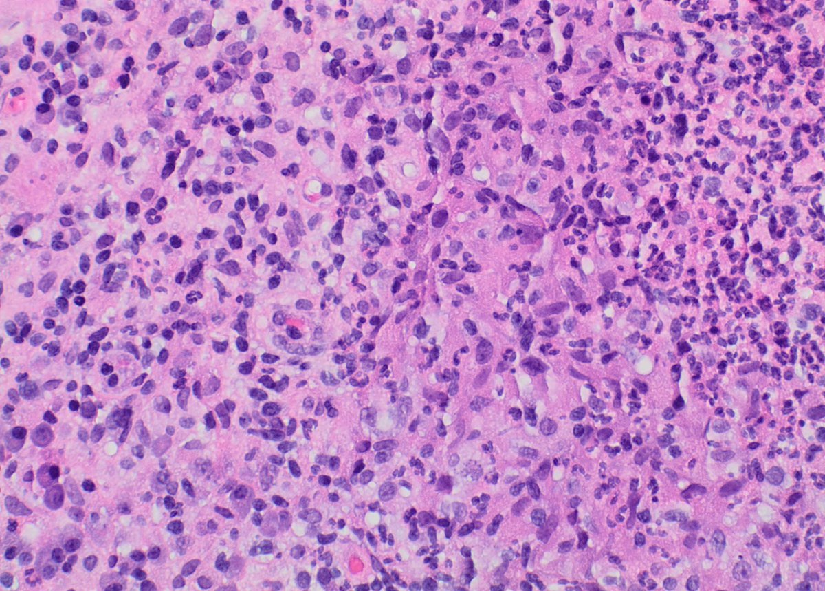 Garrey Faller tweet media