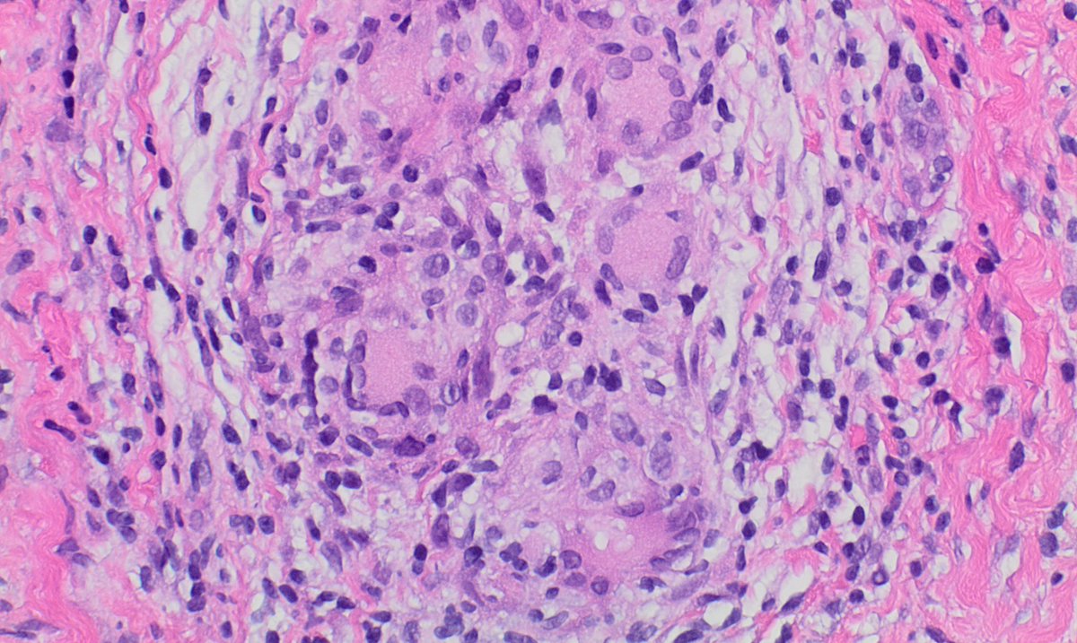 Garrey Faller tweet media