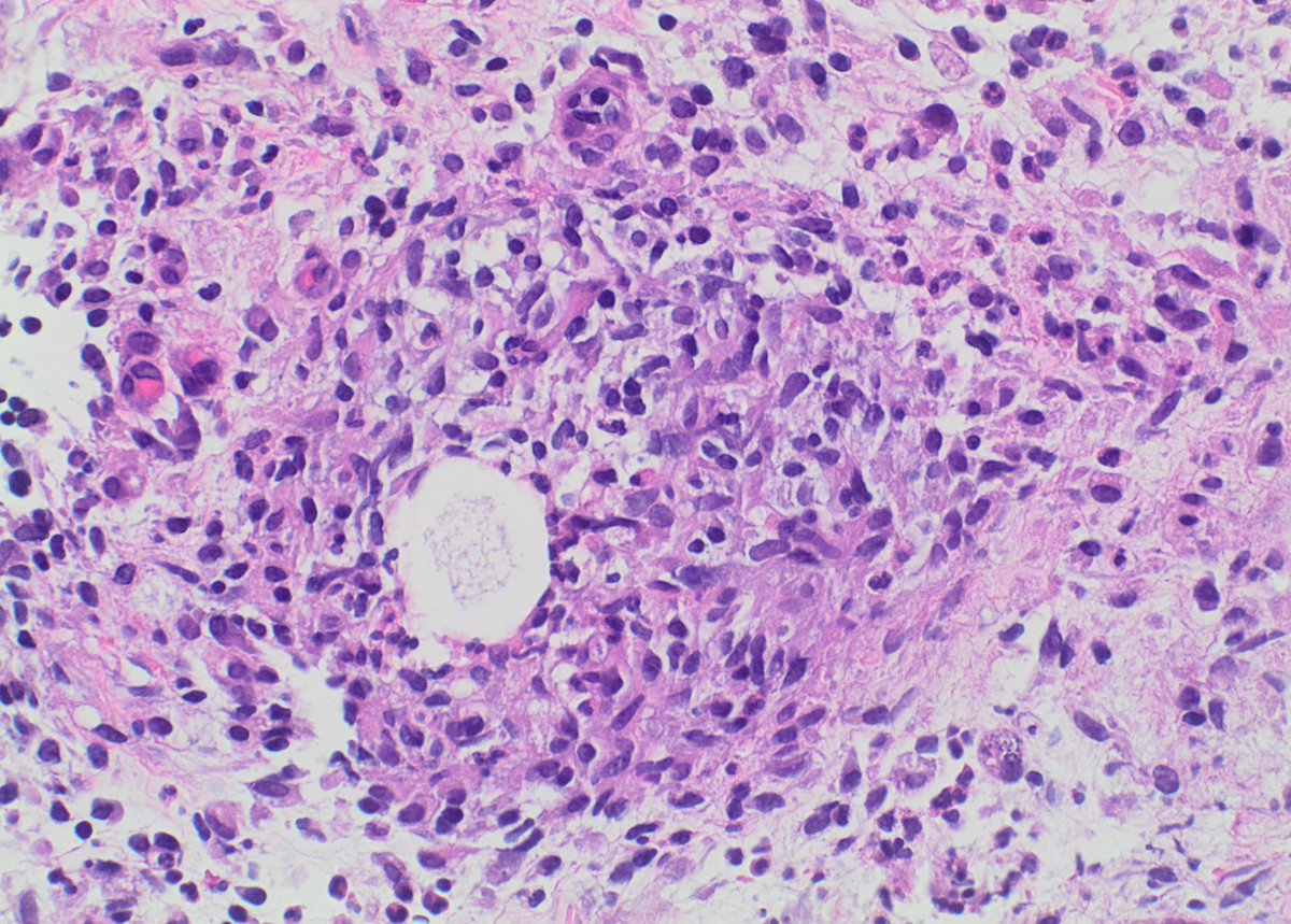 Garrey Faller tweet media