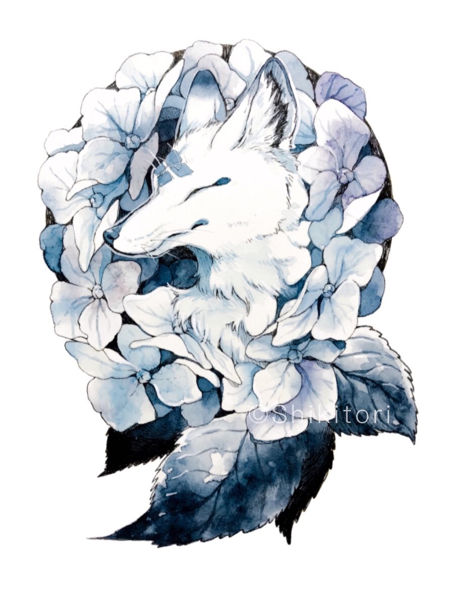 「紫陽花も見頃ですね 」|シキトリのイラスト