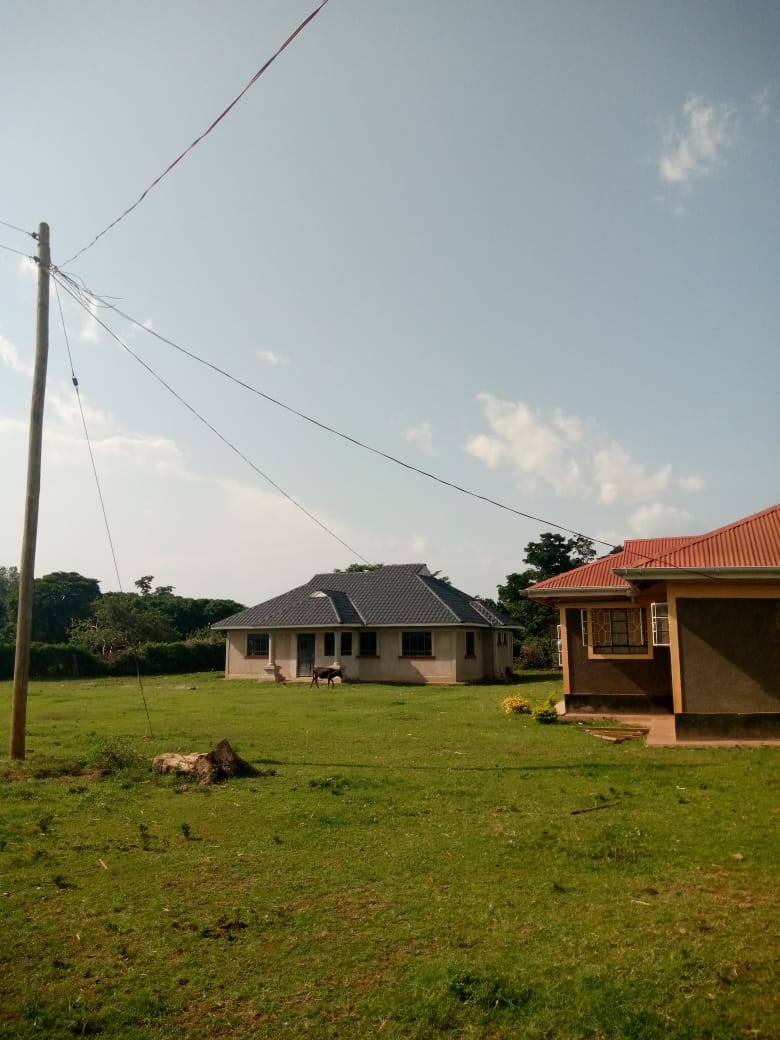 DavidOrega's tweet image. Stima imefika pacho dala after so many years of waiting ..............and without paying a penny for it

Uhuru inie Rais, Uhuru inie kiongosi....Uhuru wayiego ...🕺🕺🕺🕺🕺

Some of us for the very first time are getting the feeling that the government has done something for us.