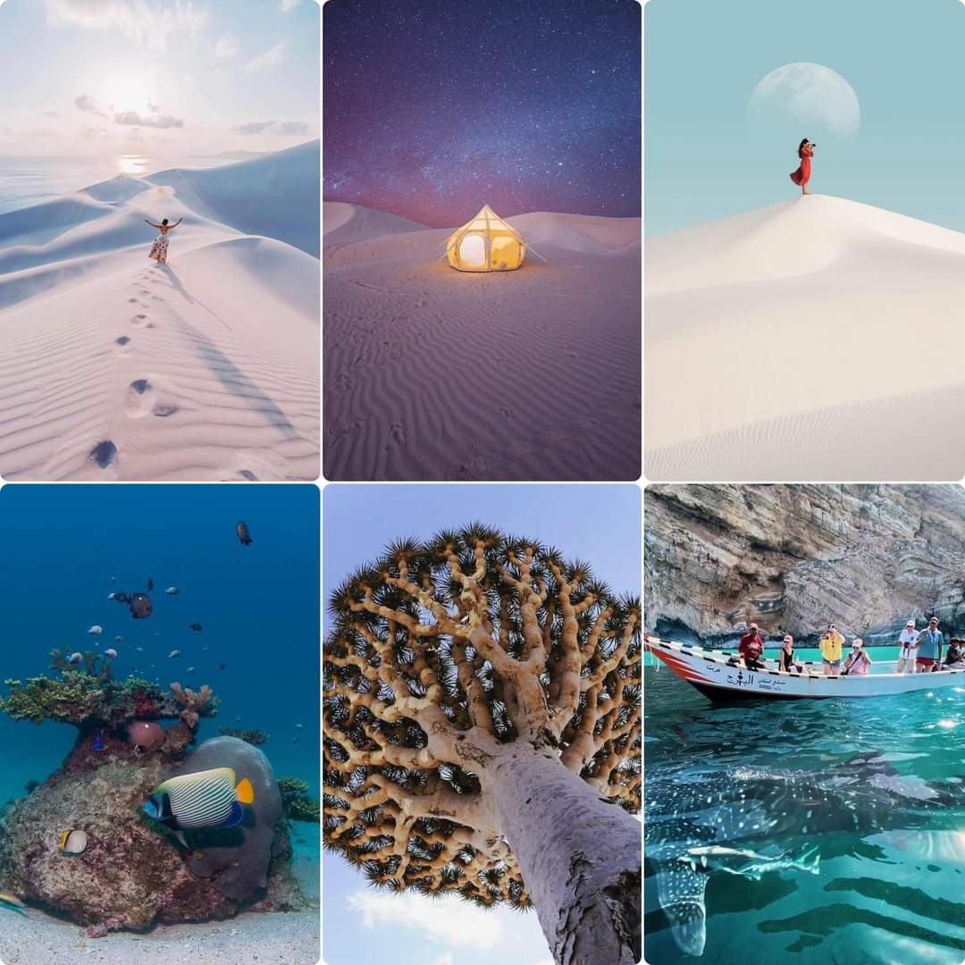جزيرة سقطرى | Socotra Island
 مالديف اليمن 🤩

#أماكن_اليمن