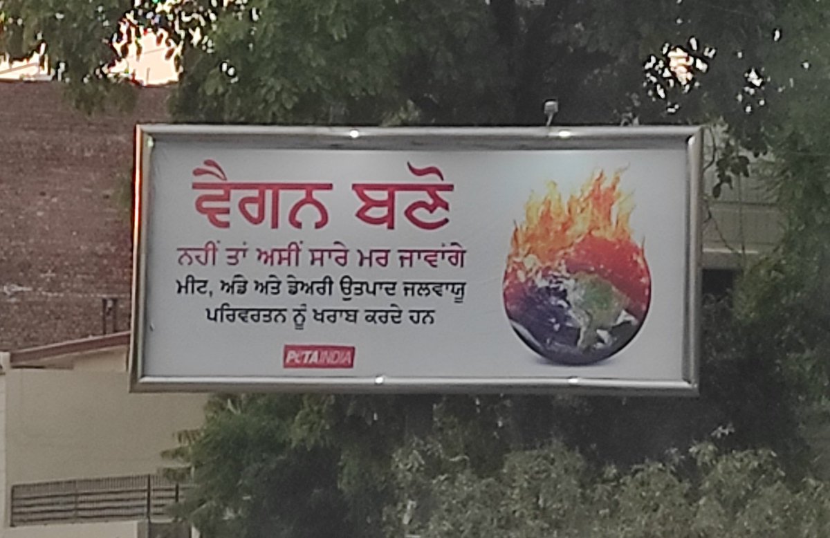 DPSingh2809's tweet image. Wagon (ਵੈਗਨ) or Vegan (ਵੀਗਨ)? 

@PetaIndia Your copy writer needs help in #Punjabi writing. Shakahari is the correct word incase you want people to understand it correctly.