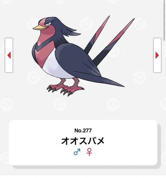 オオスバメのtwitterイラスト検索結果