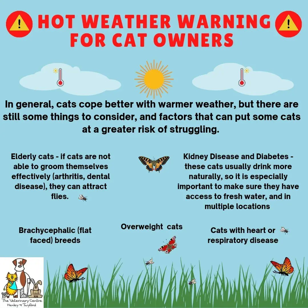 ☀️ℹ️⚠️ HEATSTROKE 

The sun ☀️ is shining and temperatures 🌡are climbing, so here's some useful info on how to help your pets cope 💚:

#dogs #cats #pets #heatstrokeindogs #heatstrokeprevention #heatstrokeinpets #HeatStrokeAwareness #henleyonthames #twyfordberkshire