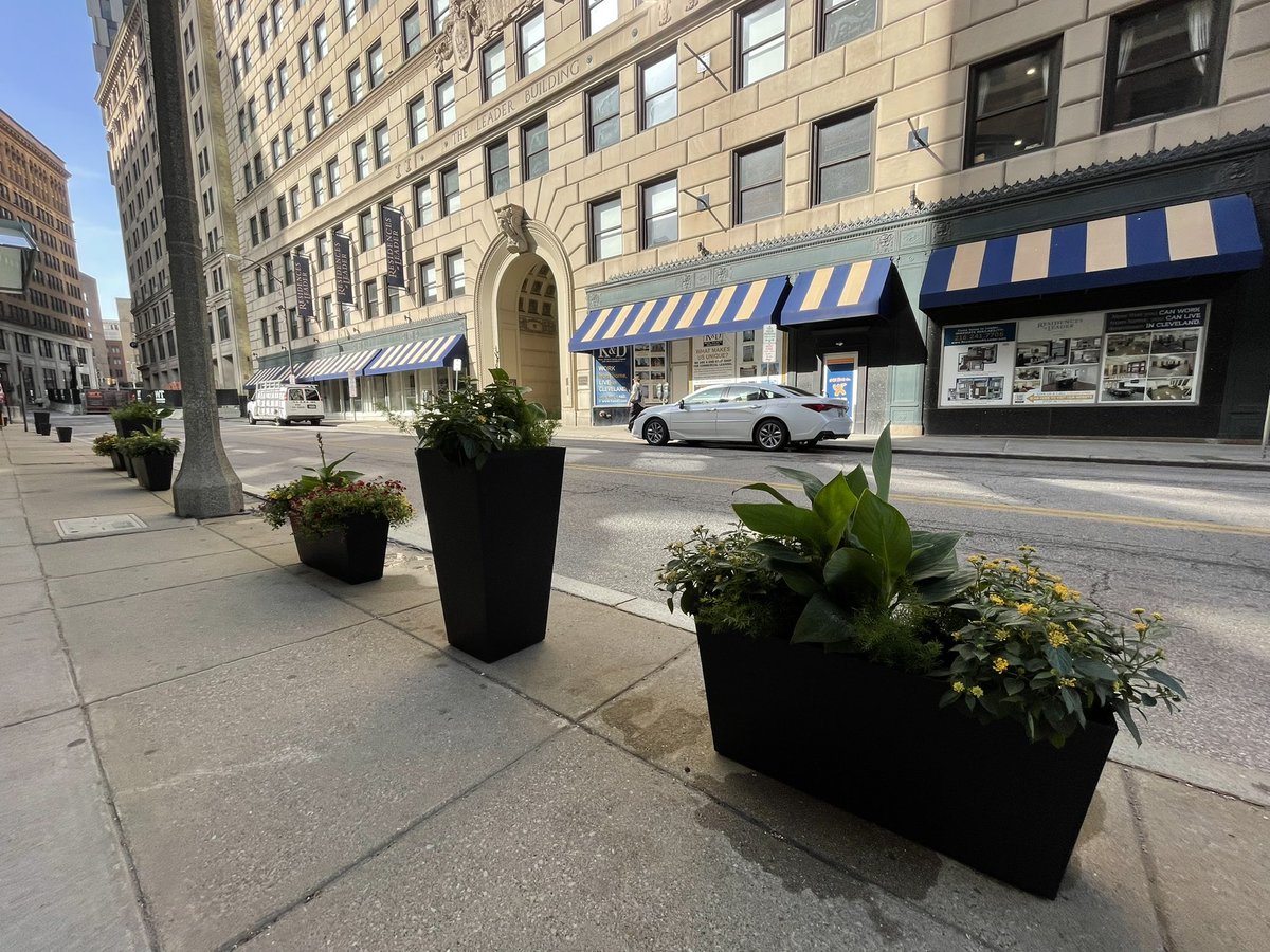 Ian Meadows tweet media