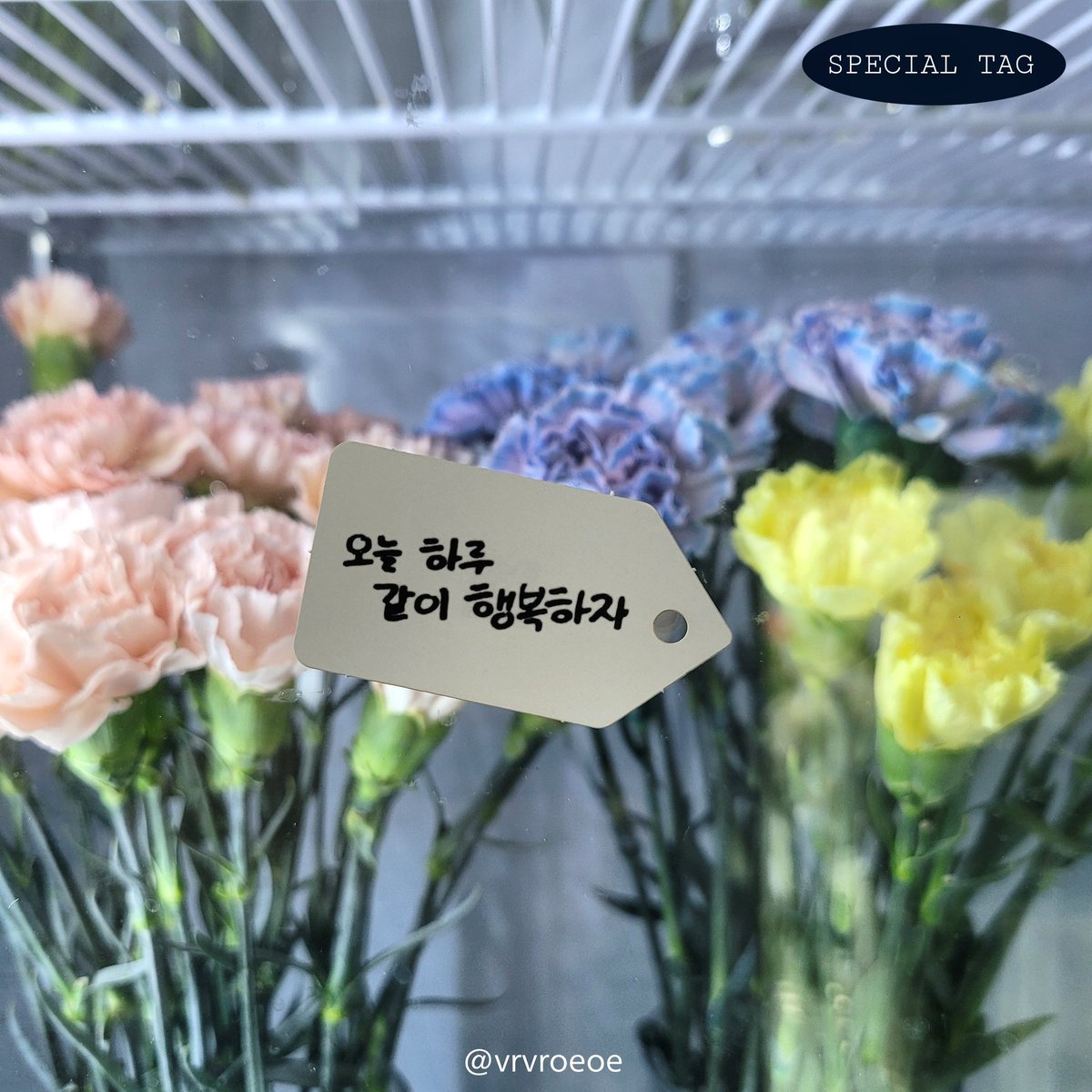 vrvroeoe's tweet photo. 용승 생일 D-1 ✧ ₊ 
꽃 나눔 이벤트의 전체 특전을 공개합니다.

6.17. 오전 11시 ~ 오후 7시
6.18. 오전 11시 ~ 오후 5시
<엘리브플레르>에서 꽃 한 송이와 함께 사진 속 특전을 드립니다.

스페셜 택의 qr코드에는 용승이의 특별 메시지가 담겨있습니다 💌
#용승이와행복한하루 https://t.co/OH7qaoQpPW