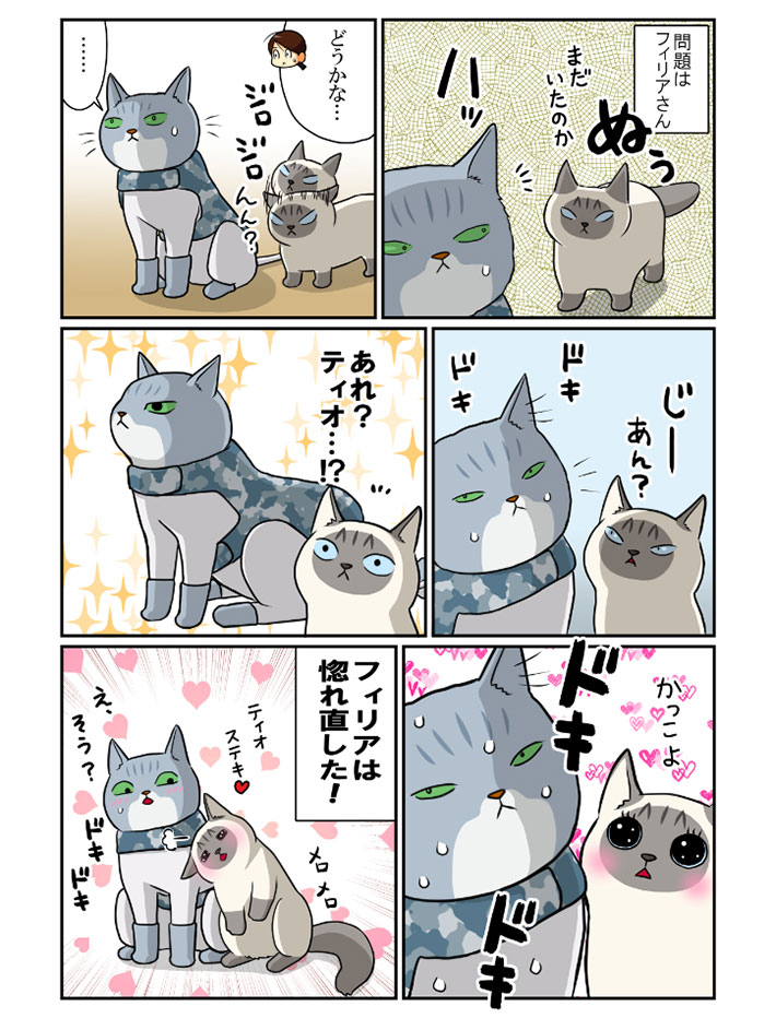 毛をカットしたら「おまえ誰!?」 威嚇される猫のため、服を着せると? https://t.co/9I2t0R043F @grapeejpより 