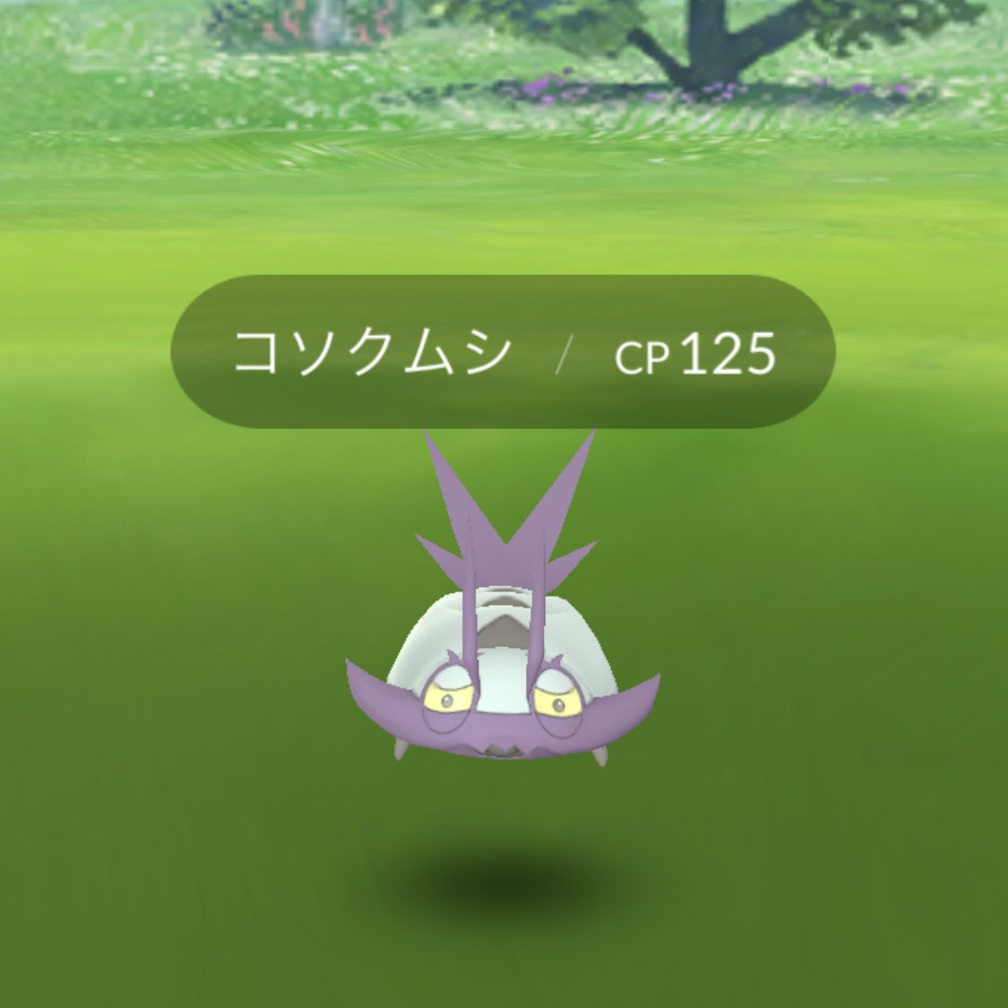 Momomomomomomo コソクムシ図鑑登録した ポケカ帽子のピカチュウゲットした これから黒いはこを開けるぞ ポケモンgo コソクムシ ふしぎなはこ T Co 19zwwlpzdu Twitter Momomomomomomo コソクムシ図鑑登録した ポケカ帽子のピカチュウゲットした これから黒いはこを開けるぞ ポケモンgo コソクムシ ふしぎなはこ T Co 19zwwlpzdu Twitter