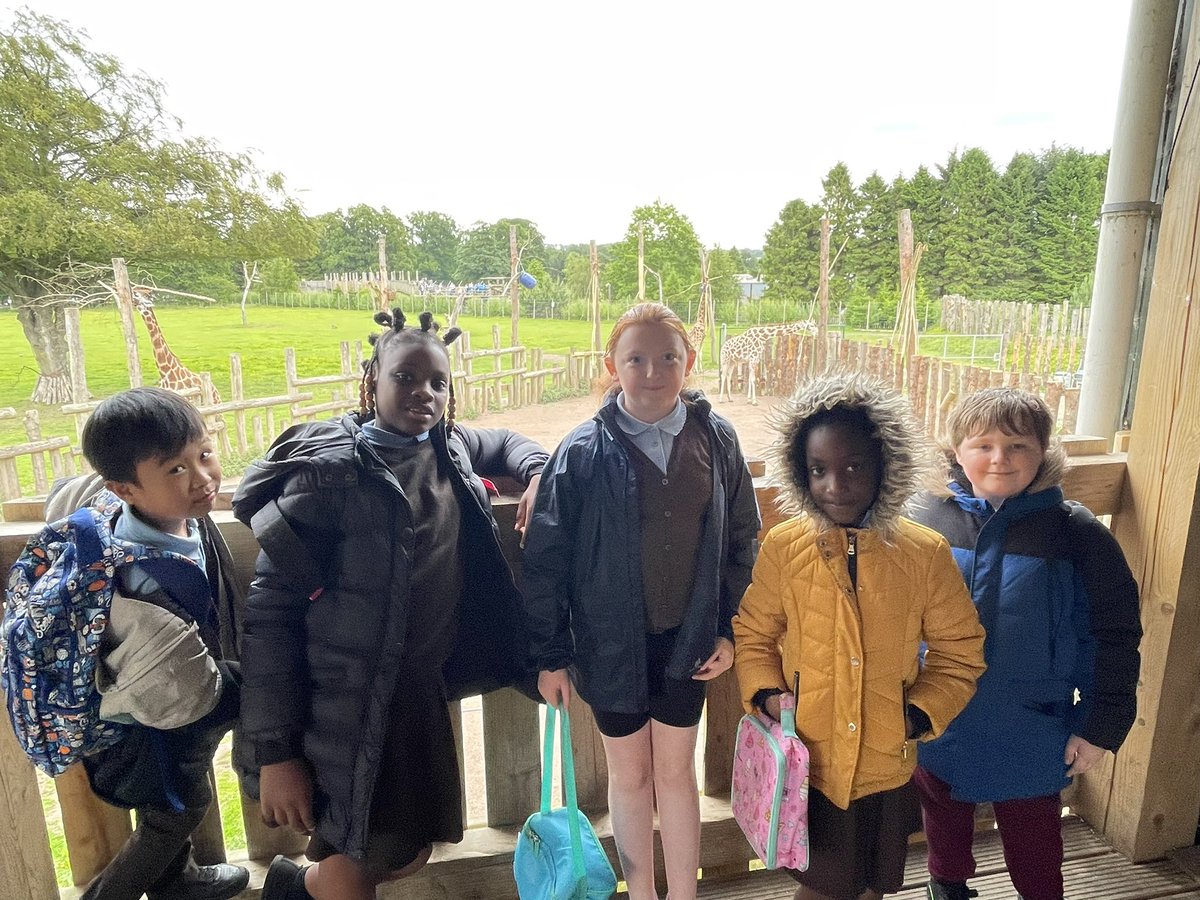 MrMcNulty3's tweet photo. The 4s of primary 4/3 have had a great time at Blairdrummond safari park! 🦒🦒 @StBlanesGCC https://t.co/UwLgR5OOSt