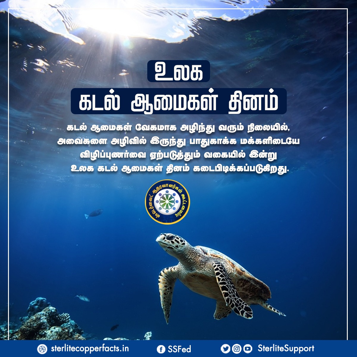 SterliteSupport's tweet photo. உலக கடல் ஆமை தினம் !

#worldturtleday | #worldturtleday2022 | #SaveAdduBiosphereReserve | https://t.co/xOmoTEv3pF