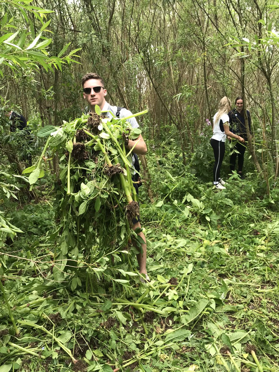 Dollar_Geog's tweet photo. Removing #HimalayanBalsam (a damaging invasive species) from the banks of the #RiverDevon today with @Dollar_CDT ๐ฑ well done to the 40 Form V โvolunteersโ for your efforts ๐๐ https://t.co/J1EL1mtDqt