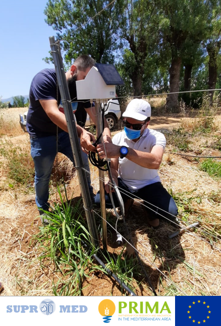 MEL_CGIAR's tweet photo. @supromed Project, coordinated by @uclm_es and #IRRIWELL project coordinated by @CSIC funded @PrimaProgram supported under @EU_H2020 work on minimizing #water consumption in #agriculture.  Here are some photos from Supromed.
#DesertificationAndDroughtDay  #UNited4Land https://t.co/nFyY5bTKlW