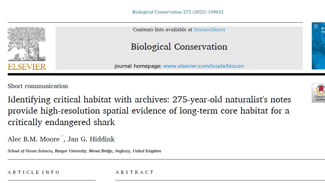 How can historical sources help in #conservation? We examined 275-year old handwritten naturalist's notes to provide further evidence that a few specific reefs on the Welsh coast are vitally important to critically endangered angel sharks, which have become extinct elsewhere