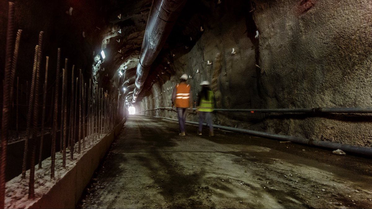 Panedile tweet media