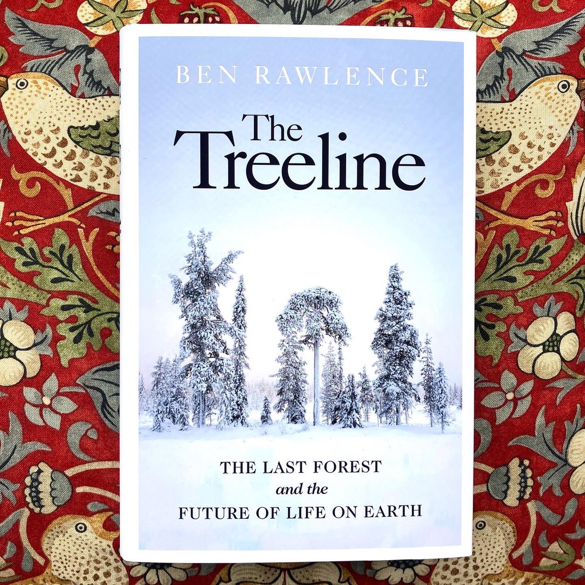 Dan_Zep's tweet photo. Wealden Literary Festival, 2022
@wealdenlitfest

Writers I’m chairing next weekend:

Ben Rawlence, The Treeline - Saturday 25th June, 10am

@sea_mammal - Soundings - Saturday 2pm

@HelenMort &amp; @annamfleming - A Line Above the Sky / Time on Rock - Sunday 26 June, 2pm https://t.co/xbZAs2tgdY