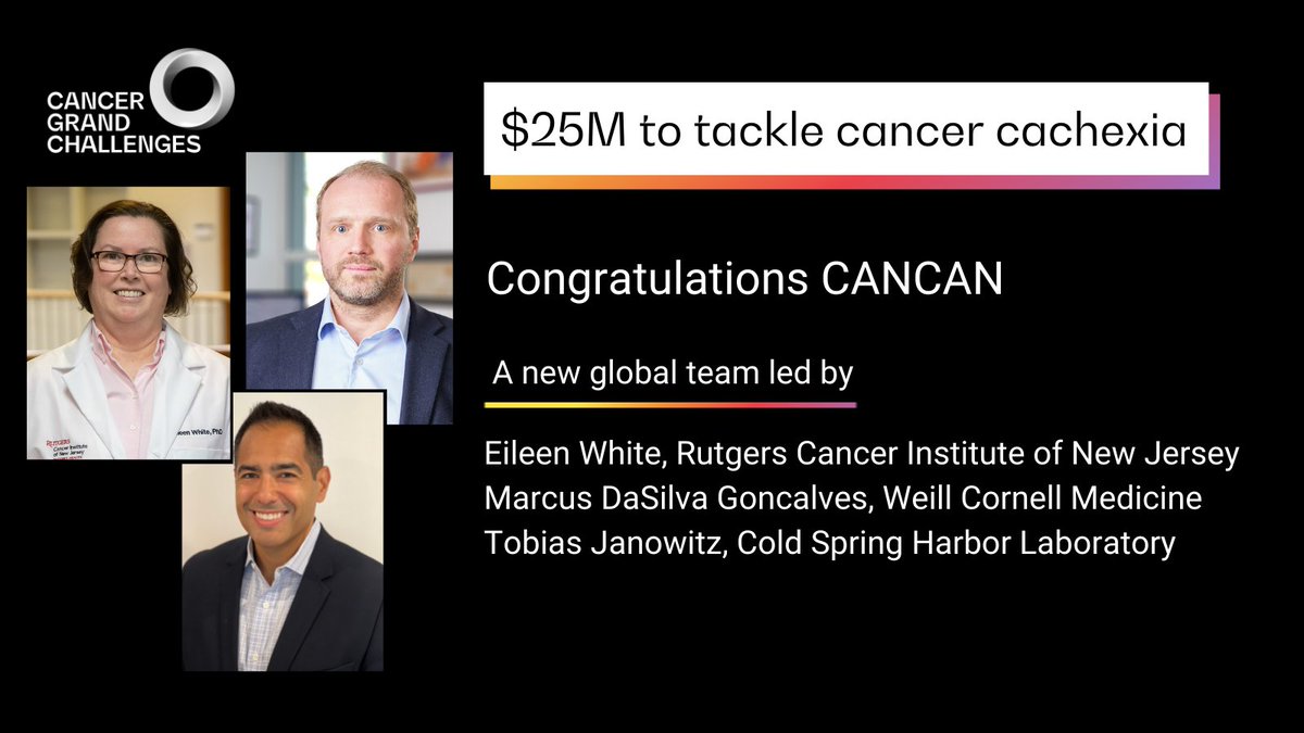 Cancer Grand Challenges (@cancergrand) on Twitter photo The CANCAN team will investigate #cachexia, the wasting condition often experienced in late stage cancer
Congratulations <a href="/EileenWhitePhD/">Eileen P. White, PhD</a> (@RutgersCancerInstNJ <a href="/Ludwig_Cancer/">Ludwig Cancer</a>) <a href="/MarcusDGon/">Marcus Goncalves</a> (<a href="/WeillCornell/">Weill Cornell Medicine</a>) <a href="/JanowitzTobias/">Tobias Janowitz</a> (@cshl) and the team, funded by <a href="/CR_UK/">Cancer Research UK</a> & <a href="/theNCI/">National Cancer Institute</a>
2/n The CANCAN team will investigate #cachexia, the wasting condition often experienced in late stage cancer
Congratulations <a href="/EileenWhitePhD/">Eileen P. White, PhD</a> (@RutgersCancerInstNJ <a href="/Ludwig_Cancer/">Ludwig Cancer</a>) <a href="/MarcusDGon/">Marcus Goncalves</a> (<a href="/WeillCornell/">Weill Cornell Medicine</a>) <a href="/JanowitzTobias/">Tobias Janowitz</a> (@cshl) and the team, funded by <a href="/CR_UK/">Cancer Research UK</a> & <a href="/theNCI/">National Cancer Institute</a>
2/n