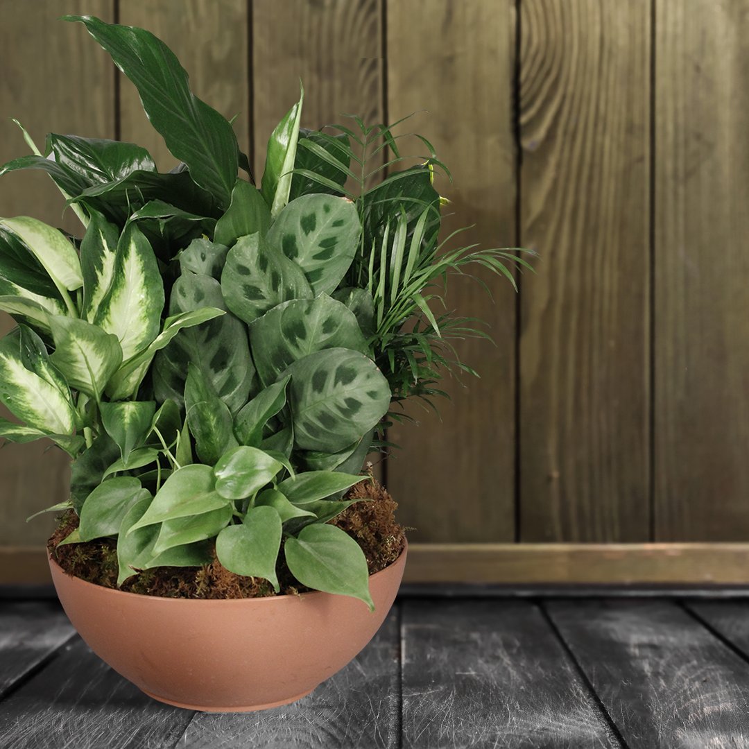 Flower Shop Network tweet media