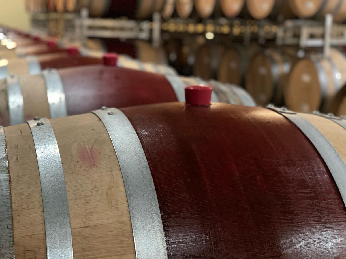 The journey to the bottle begins as the juice rests in the barrels at <a href="/quixotewinery/">Quixote Winery</a> before it awakes as wine in a few years!

Visit this whimsical #StagsLeapDistrict winery &amp; explore prior vintages in a seated tasting! quixotewinery.com #StagsLeapDistrict #StagsLeapAVA