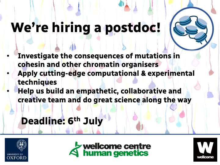 Rob Beagrie (@robbeagrie) on Twitter photo 🚨Job Alert🚨 We’re hiring a postdoc to work on genetic diseases of chromatin! 🧬
🏫Come work with us at <a href="/HumanGeneticsOx/">Centre for Human Genetics</a> in the beautiful <a href="/UniofOxford/">University of Oxford</a>
🗓Closing 6 July
📨 More details at beagrielab.com/join
Pls share and RT!
#PostdocJobs #GeneticsJobs #genomics #cohesin 🚨Job Alert🚨 We’re hiring a postdoc to work on genetic diseases of chromatin! 🧬
🏫Come work with us at <a href="/HumanGeneticsOx/">Centre for Human Genetics</a> in the beautiful <a href="/UniofOxford/">University of Oxford</a>
🗓Closing 6 July
📨 More details at beagrielab.com/join
Pls share and RT!
#PostdocJobs #GeneticsJobs #genomics #cohesin