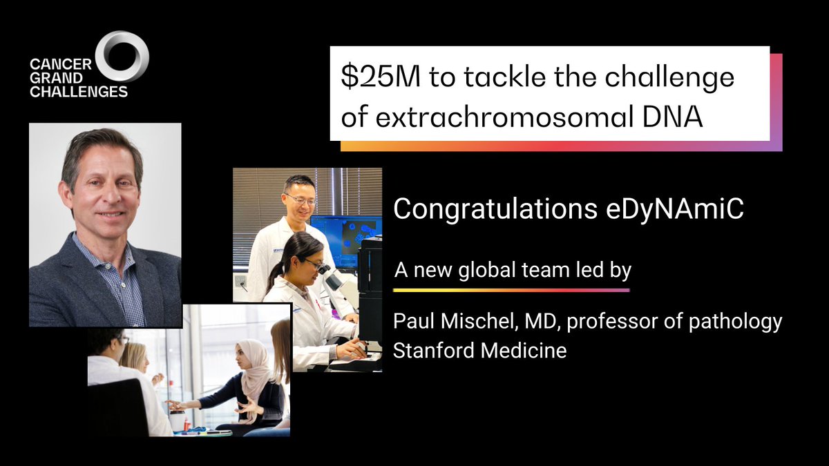 The eDyNAmiC team will investigate #ecDNA, found in around a third of cancers, hoping to develop much needed treatments for people whose cancer is driven in this way Congratulations Paul Mischel (@mischellab @StanfordMed) and the team, funded by @CR_UK and @theNCI 3/n