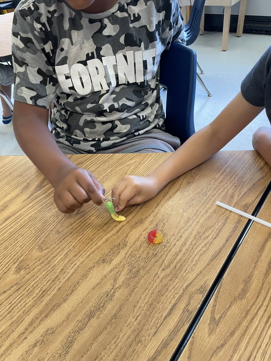 Mary G. Clarkson STEAM tweet media