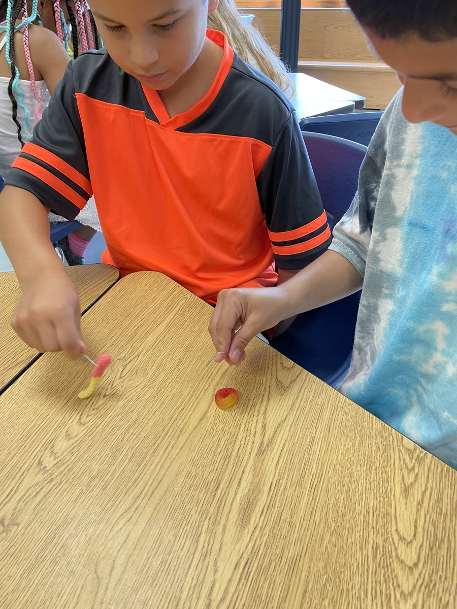 Mary G. Clarkson STEAM tweet media