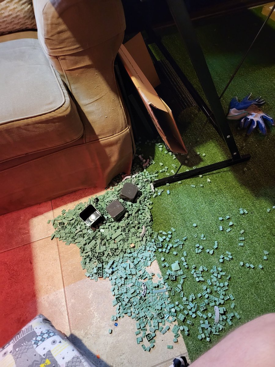 MrFranklet's tweet photo. When your cat says, "i love you, I'm just not IN love with you." https://t.co/lx5ZdhDUjD