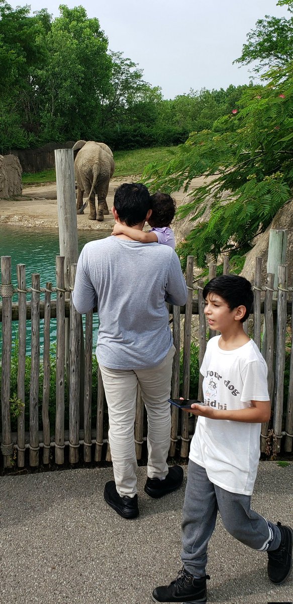 LAParentConnect's tweet photo. Enjoying the @IndianapolisZoo with our #LAP students. @dmurff5 @blessedbukkie1 @MrsMastenWLE https://t.co/T5NgkkTKDy