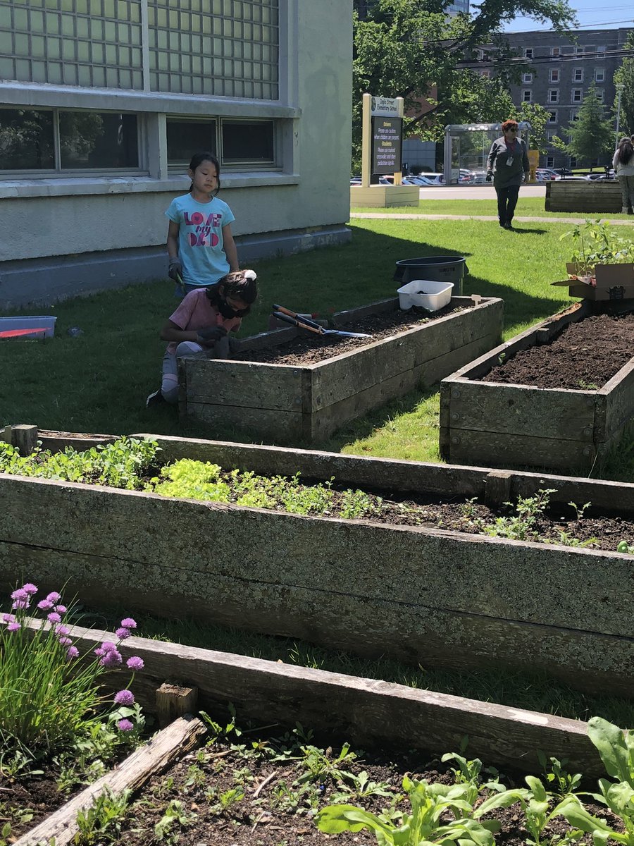 Teamwork makes the dream work…especially in the garden <a href="/ISEShrsb/">InglisStreetSchool</a> ! @HRCEHealthPromo 
#HereWeGrowAgain #SchoolFood