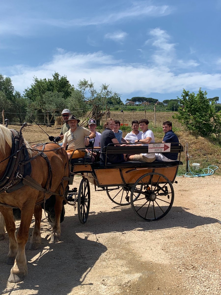 LVC's tweet image. Cheers to the weekend! Students in Dr. Clark's “Made in Italy: Local Sources, Global Brands” study abroad course toured a winery in Italy this week! #GoLVC #LVCabroad #LVCsummer