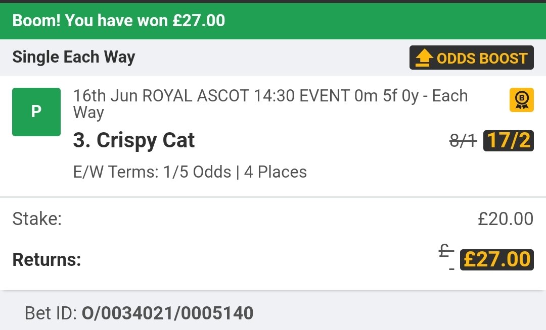 paulrob1nson's tweet photo. @BetfairRacing Crispy Cat was going the best and would have gone very, very close. #CalvinsCall https://t.co/otjYDRKMaj