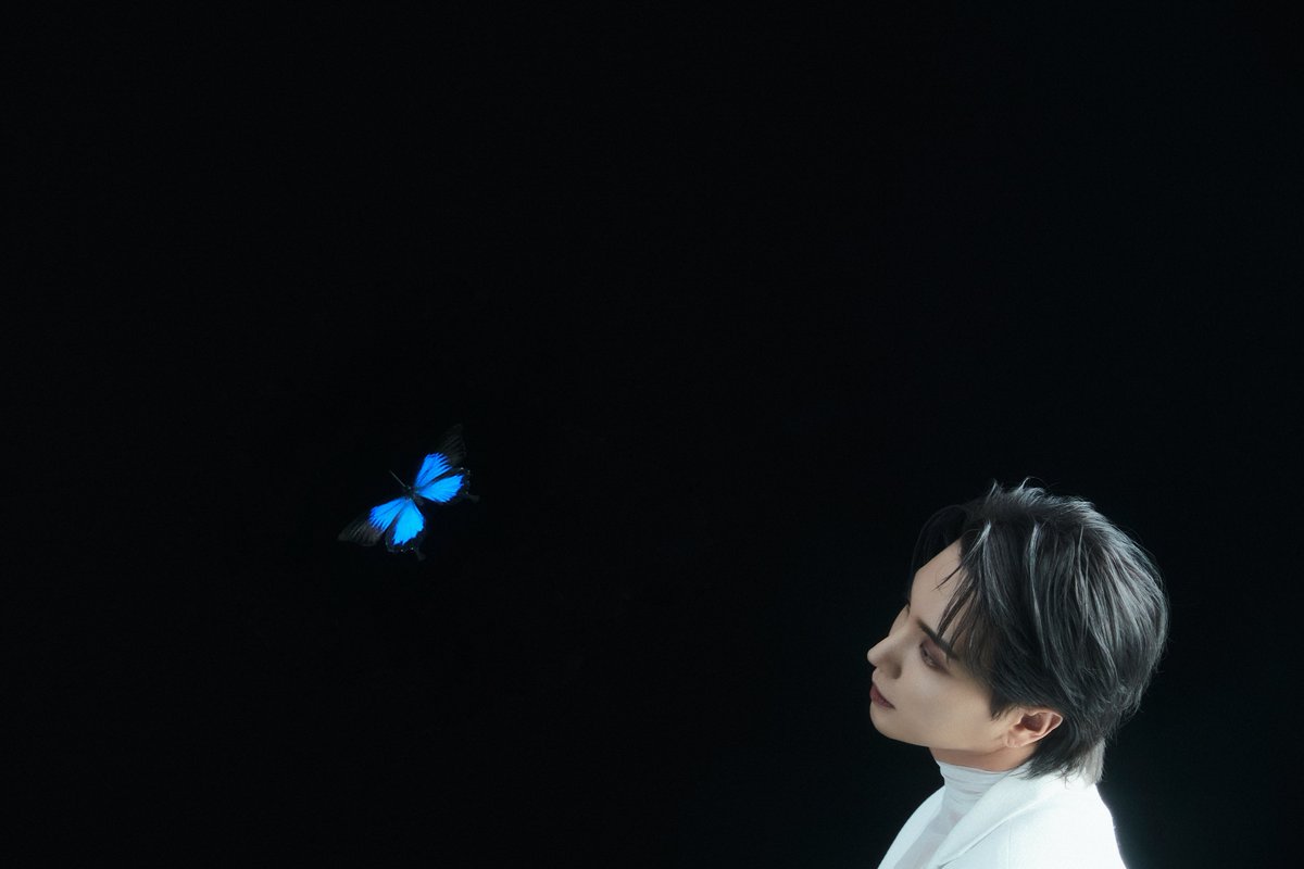 pyeehae's tweet photo. Is it the same blue Butterfly 🦋? 🥹🥹🥹

#The_Road_Keep_on_Going
#SuperJunior @SJofficial https://t.co/00PFRD1OuN