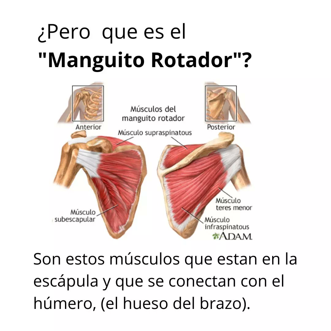 crisantofisio's tweet photo. https://t.co/9F95YygdBt