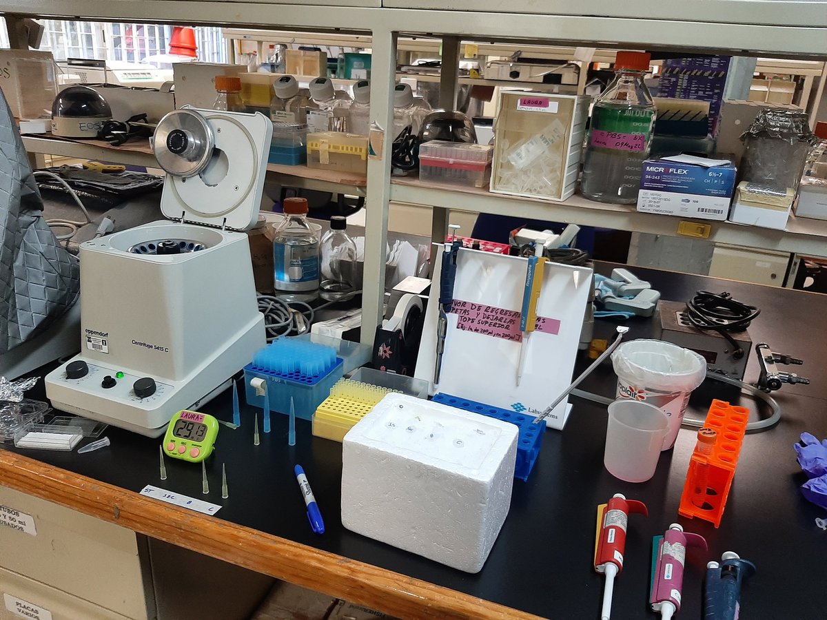 InmunoUnicornio's tweet photo. Juro que la mesa queda limpia cuando termino de trabajar 🤭
#PhDLife #Science #WomenInSTEM #LabBench https://t.co/V3a6ERi3dP