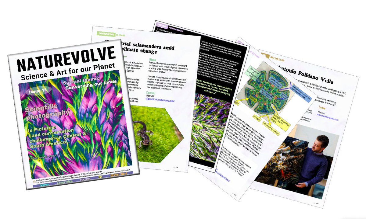 Naturevolve's tweet image. Featuring creatively communicated #science, #scicomm and #art to celebrate #nature have a look at our latest digital magazine for free at NatureVolve.com