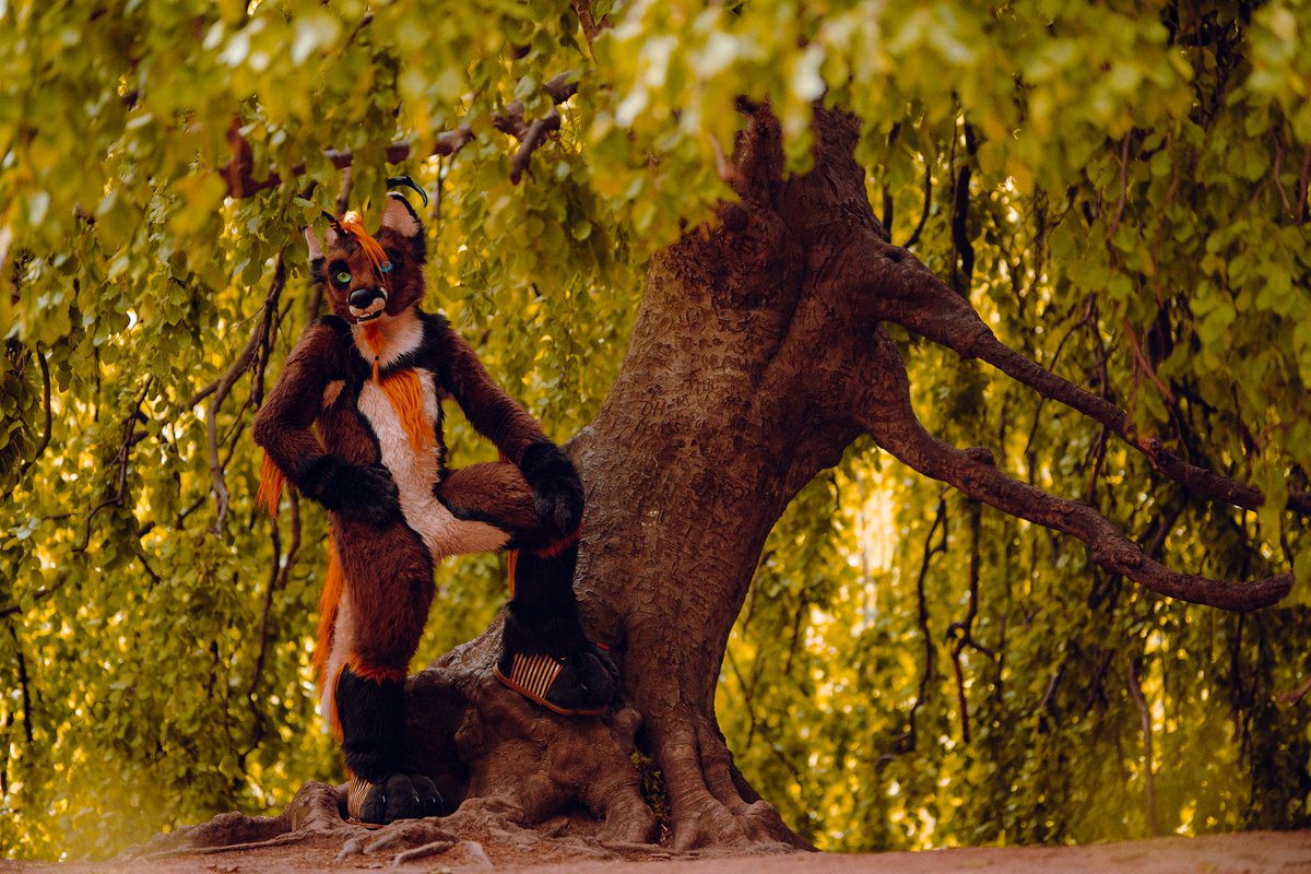 DoggoDeer's tweet photo. I declare this tree as my territory!
But you are welcome to join me through 🐾🐕🐾

Wonderful 📷 by amazing @PhotoPanther at Warszawski fursuitwalk @WarsawFurries https://t.co/J8M1pJG8Jt