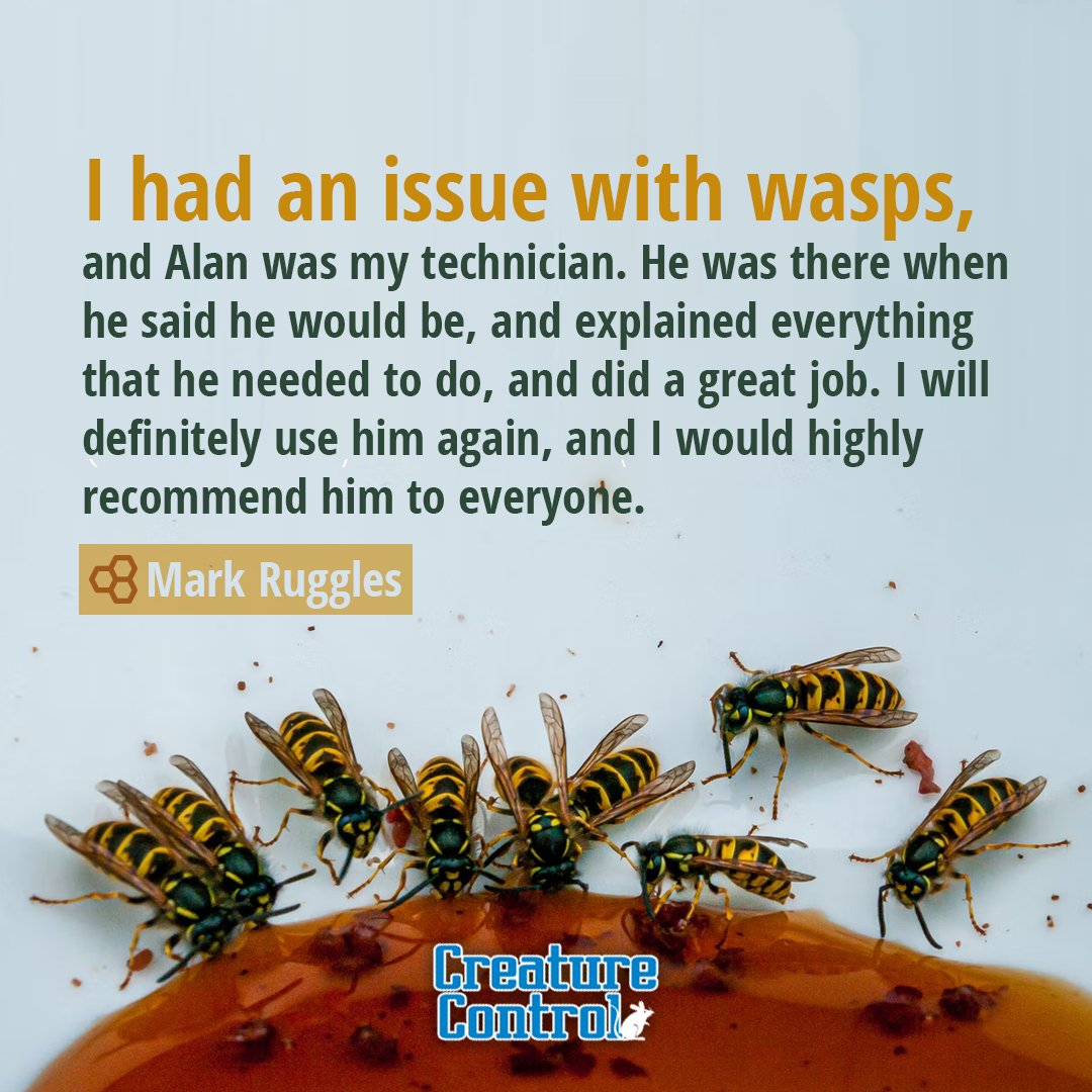 CreatureContro1's tweet image. Thank you, Mark! We were happy to help take care of your wasp problem.

📲Call: (800) 441-1519
💻Connect: creaturecontrol.net/contact