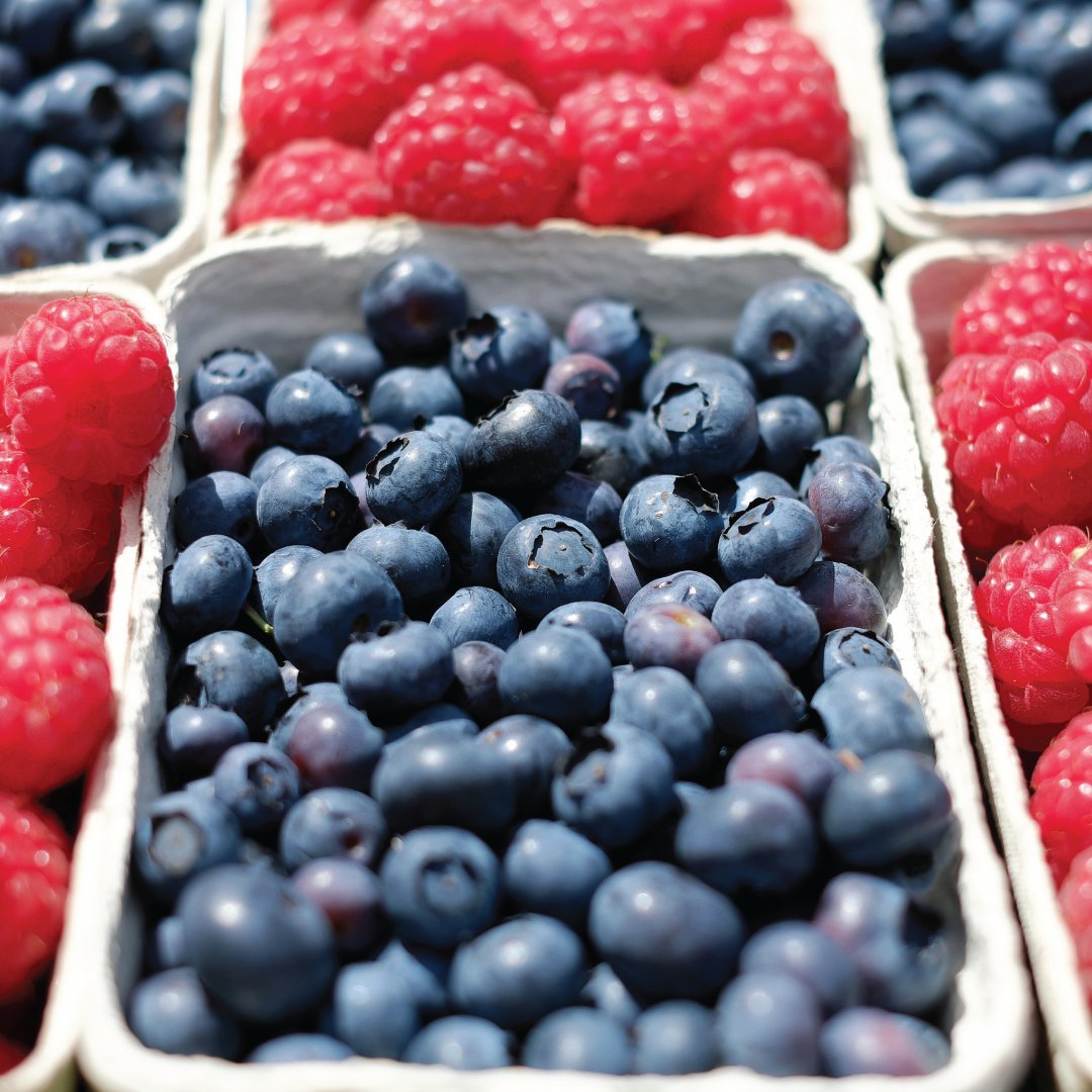 _iConnect's tweet photo. What better way to support Hamilton than to go to the @HamOntMarket !🍎🛍️ At the @HamOntMarket you can find vegetables, fruits, and support other local vendors by purchasing one-of-a-kind crafts. #SupportHamOnt #hamiltonfarmersmarket https://t.co/PoesygtVR4
