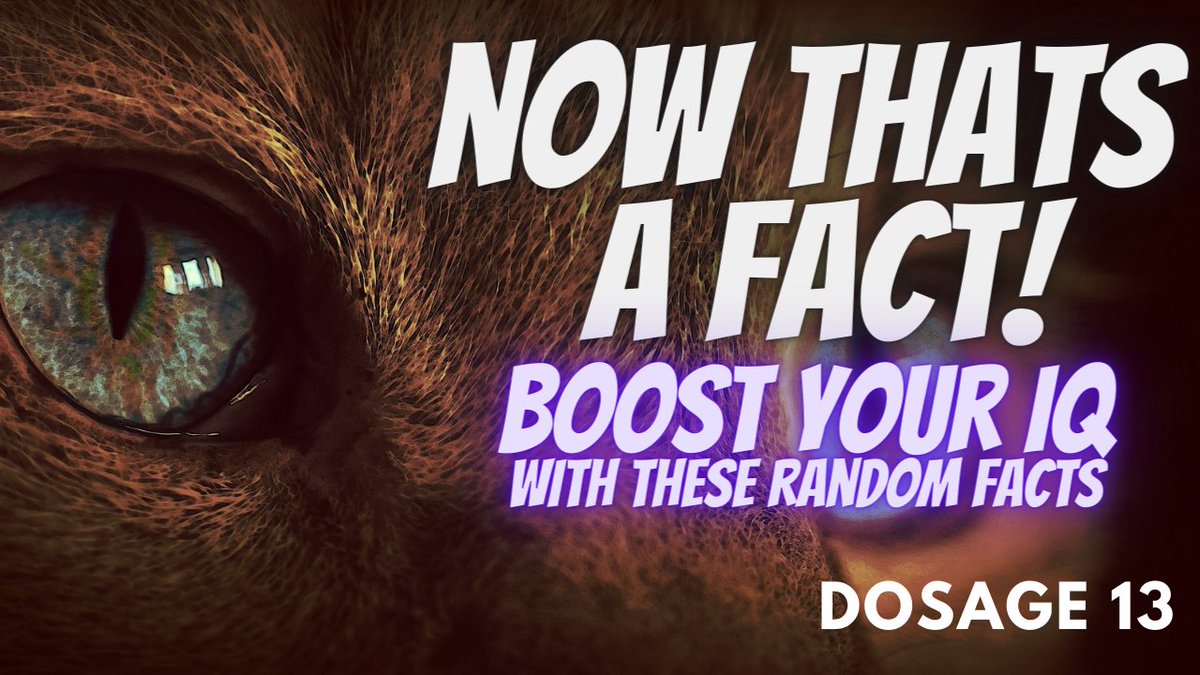 Byll Choudry tweet media