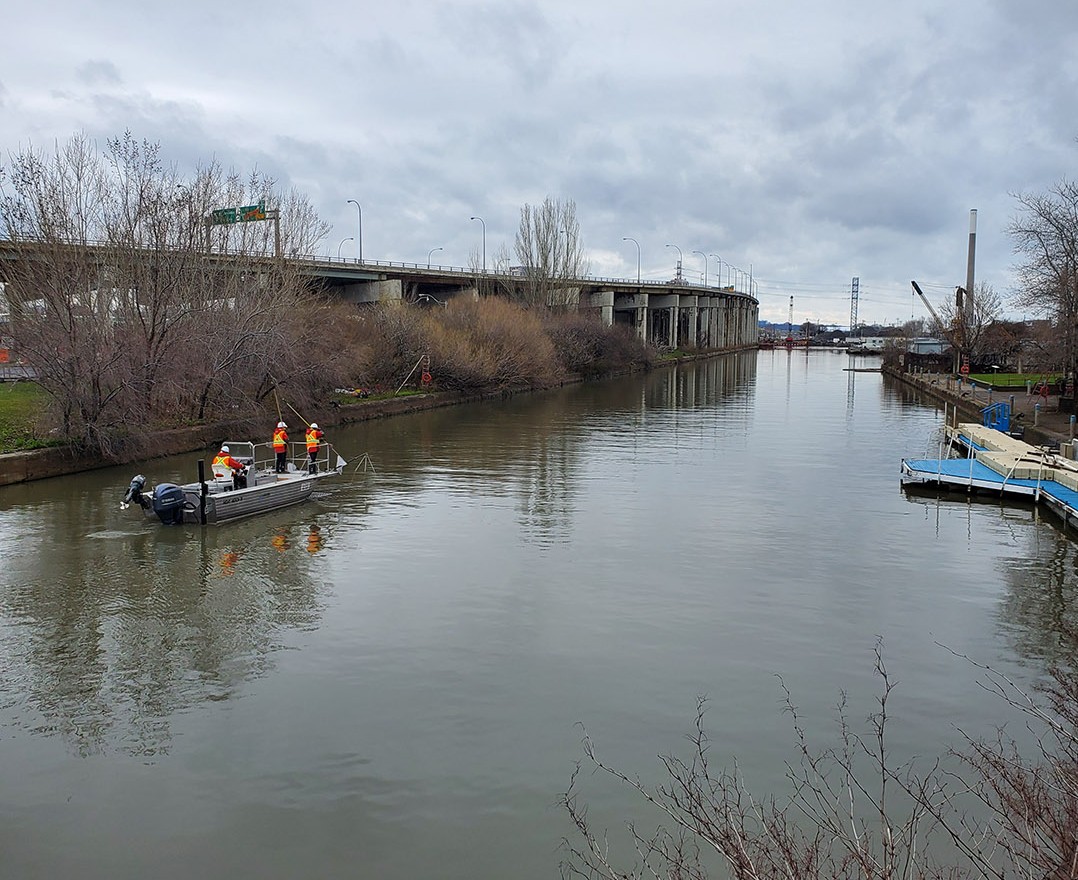TheRockRipper's tweet photo. Hey, it’s my friends from @TRCA_HQ, electrofishing in the Keating Channel! https://t.co/PnuK4ZJoIB