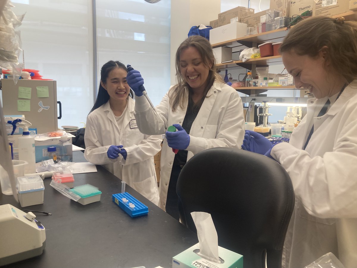 Cancer Research Institute (@cancerresearch) on Twitter photo We also want to understand how these signals corrupt immune responses - then we can find new ways to unleash immunotherapy.
<a href="/H_du_Bois/">Haley duBois</a>, MD/PhD student <a href="/katie_ventre/">Katie Ventre</a>, and Annie work in the lab.
Funded by: <a href="/CancerResearch/">Cancer Research Institute</a> <a href="/DeptofDefense/">Department of Defense 🇺🇸</a> #MRP <a href="/theNCI/">National Cancer Institute</a> We also want to understand how these signals corrupt immune responses - then we can find new ways to unleash immunotherapy.
<a href="/H_du_Bois/">Haley duBois</a>, MD/PhD student <a href="/katie_ventre/">Katie Ventre</a>, and Annie work in the lab.
Funded by: <a href="/CancerResearch/">Cancer Research Institute</a> <a href="/DeptofDefense/">Department of Defense 🇺🇸</a> #MRP <a href="/theNCI/">National Cancer Institute</a>