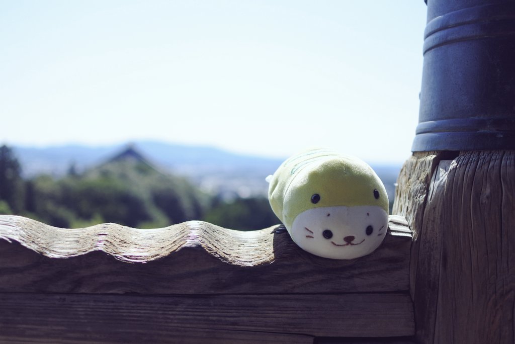 kopi_rabbit's tweet photo. 東大寺二月堂

#sirotan
#しろたん
#つちのこたん
#東大寺二月堂 https://t.co/q1Da8Ex8E3