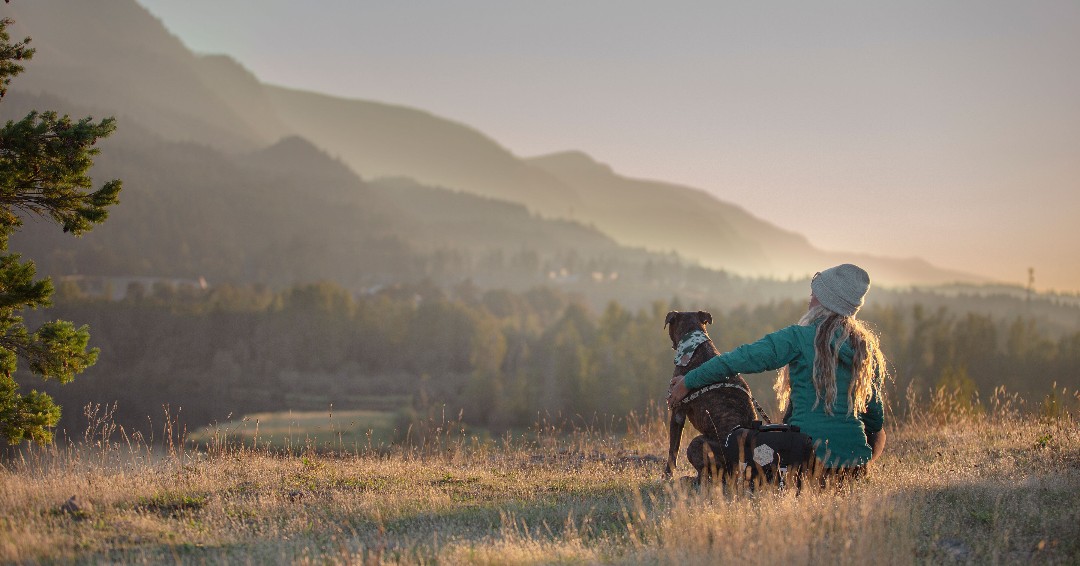 Take a hike buddy!

Right now maybe only hard-core hikers are willing to brave this constant rain.  But this cooler, damp weather sure is great for fewer crowds and keeping cool (especially our pooch).  Rain or shine, Gorges Beer Co. will be open.  
#tapintothegorge