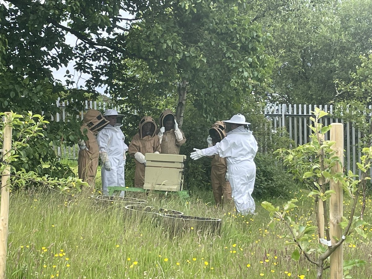schs_hwb's tweet photo. Busy bees at Columabuzz bee club today! 🐝🐝🐝🐝 @_stcolumba @SClpl @stcolumbaPEdept #savingtgeplanet https://t.co/ZpsDTuR53l