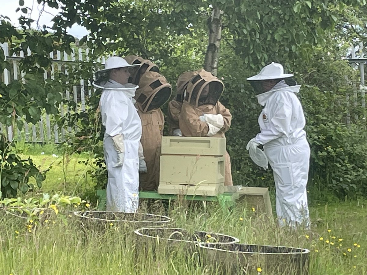 schs_hwb's tweet photo. Busy bees at Columabuzz bee club today! 🐝🐝🐝🐝 @_stcolumba @SClpl @stcolumbaPEdept #savingtgeplanet https://t.co/ZpsDTuR53l