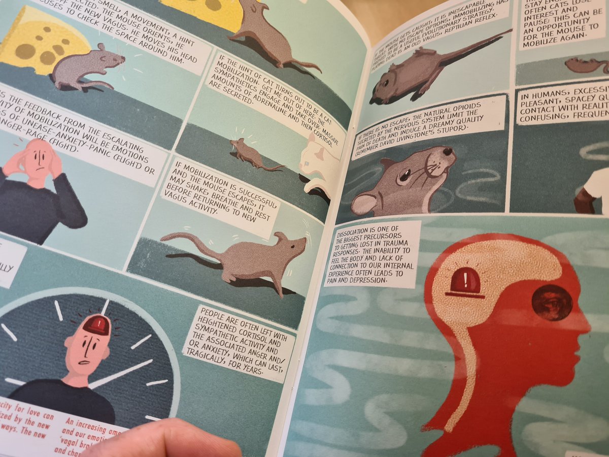 This is a great short and accessible book for understanding trauma.  Some great ways of explaining important concepts.