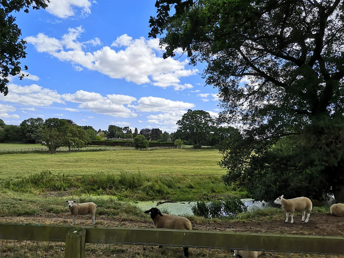 GreatHouseHotel's tweet photo. Make this Father’s Day one to remember by purchasing an overnight stay this Sunday in the heart of the Suffolk countryside. 📞 Call today to book on 01787 247431. https://t.co/M06FAS4wiB